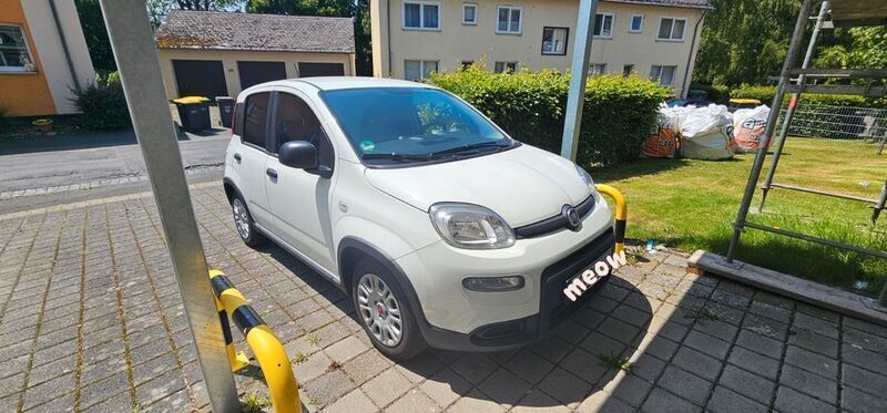 Weiß Gebraucht 2023 Fiat Panda Kleinwagen | 10.600 € (Guter Preis) - Bild 1/4