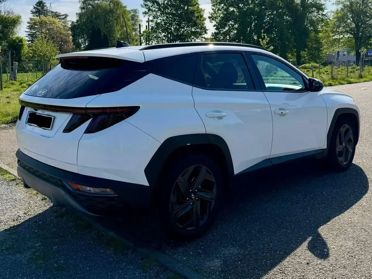 Gebraucht Hyundai Tucson 150 PS (110 kW) 2024 Weiß SUV