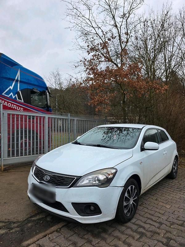 Gebraucht Kia Ceed 125 PS (91 kW) 2012 Weiß Kleinwagen