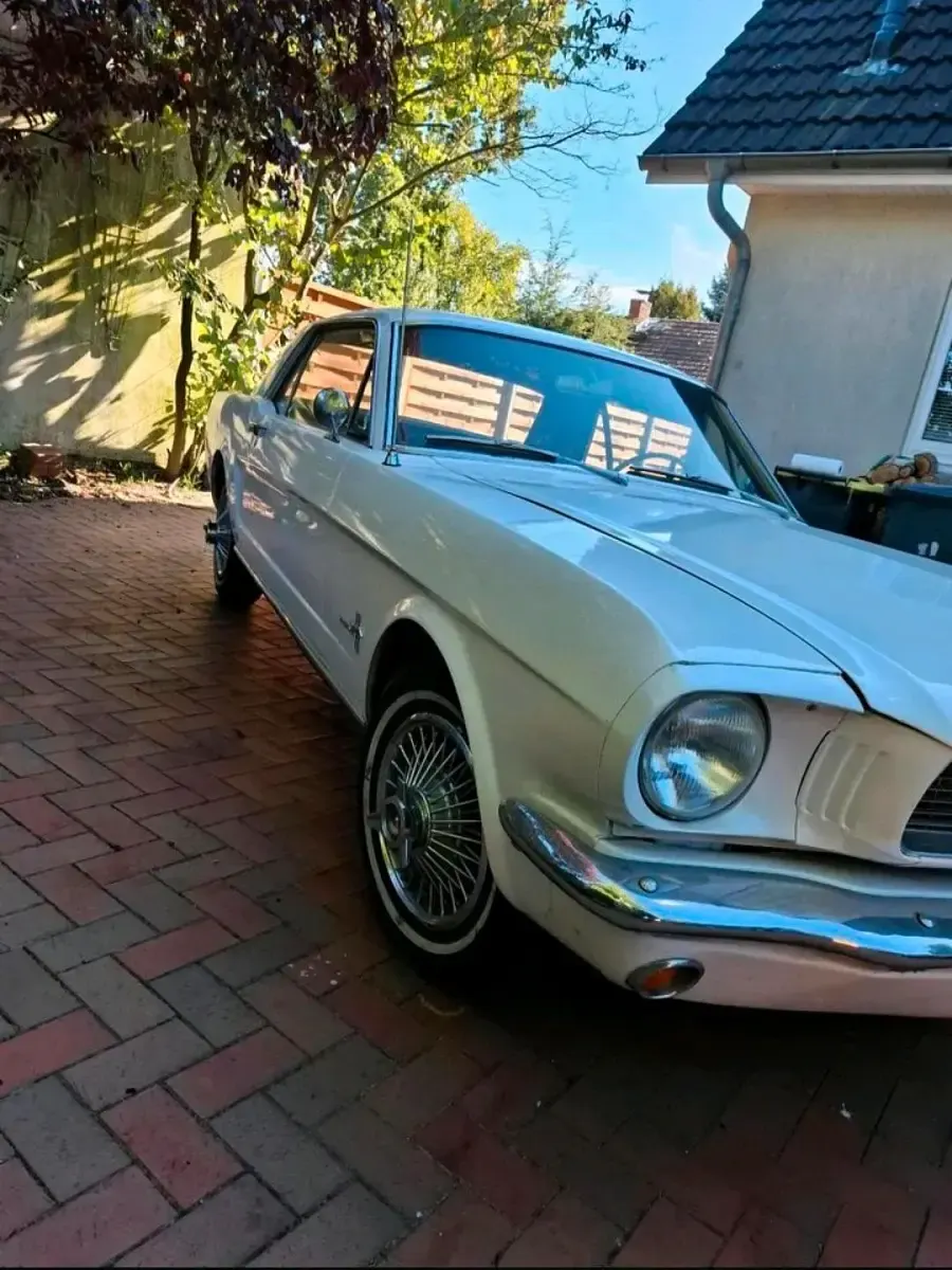 Gebraucht Ford V8 220 PS (161 kW) 1966 Weiß Coupé