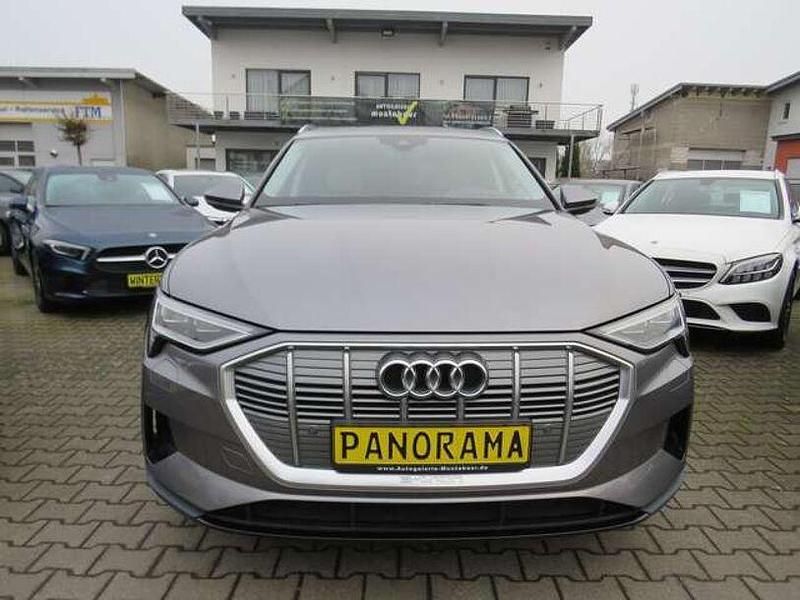 Gebraucht Audi e-tron Basis 300 kW (408 PS) 2021 Taifungrau metallic SUV