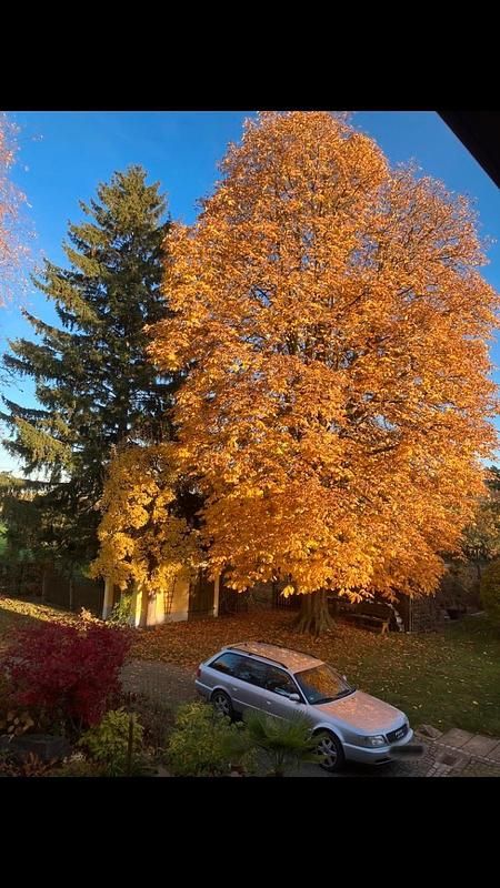 Silber Gebraucht 1996 Audi S6 Kombi | 15.888 € - Bild 1/4