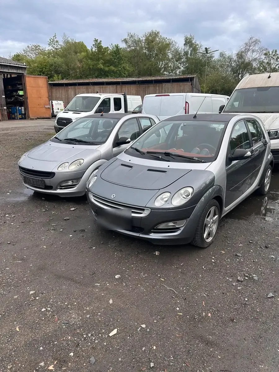 Gebraucht Smart ForFour 75 PS (55 kW) 2006 Kleinwagen