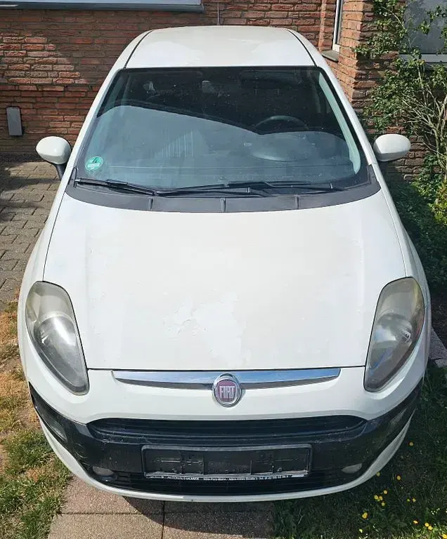 Gebraucht Fiat Punto 68 PS (50 kW) 2011 Weiß Kleinwagen