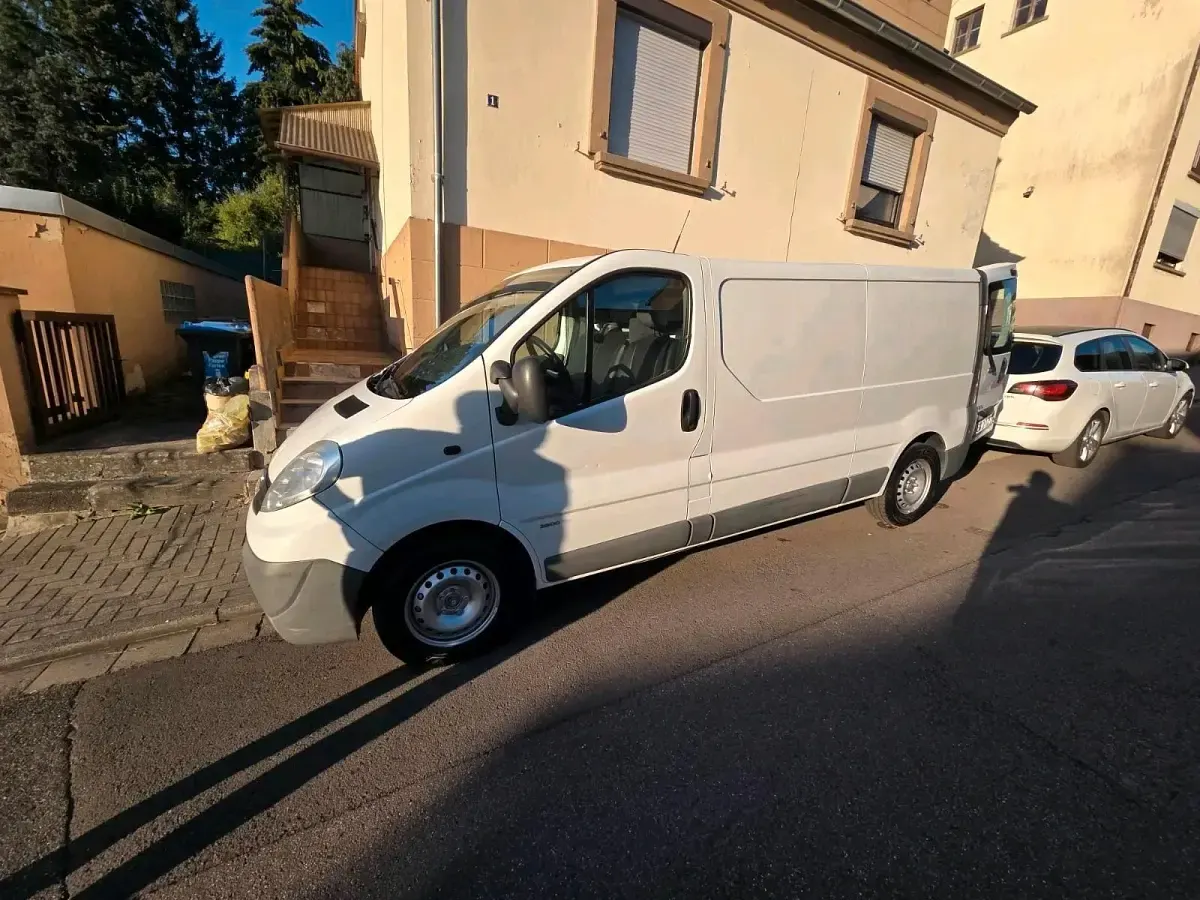 Gebraucht Opel Vivaro 114 PS (83 kW) 2014 Weiß Van / Kleinbus
