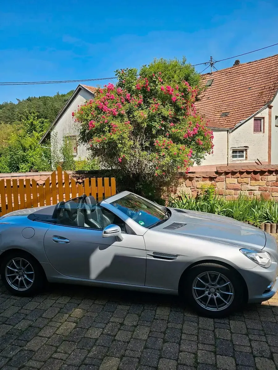 Gebraucht Mercedes SLK200 184 PS (135 kW) 2012 Silber Cabrio
