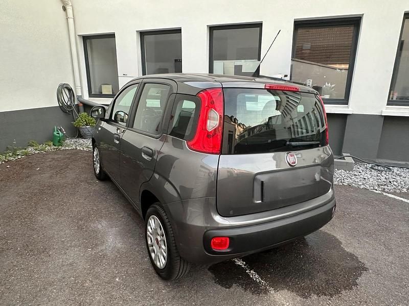 Gebraucht Fiat Panda Easy 69 PS (50 kW) 2017 Grau Kleinwagen