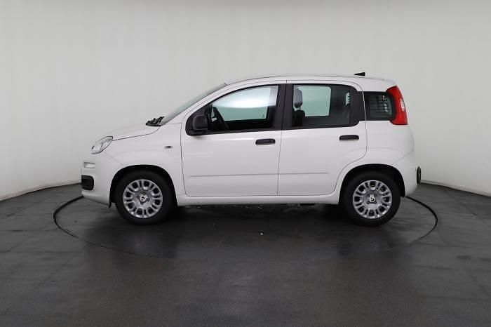 Neu Fiat Panda 69 PS (50 kW) 2025 Weiß, weiß uni Kleinwagen