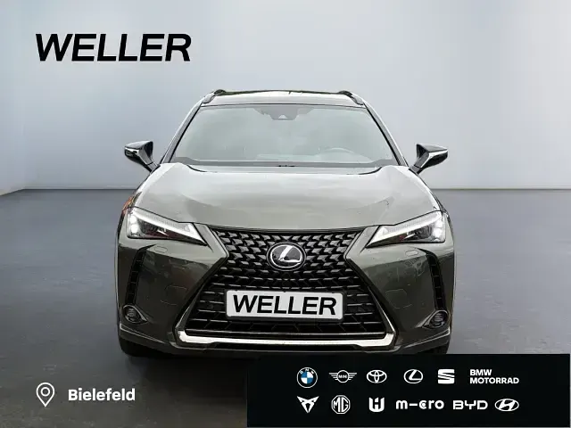 Gebraucht Lexus UX 250h 184 PS (135 kW) 2021 Gruen SUV