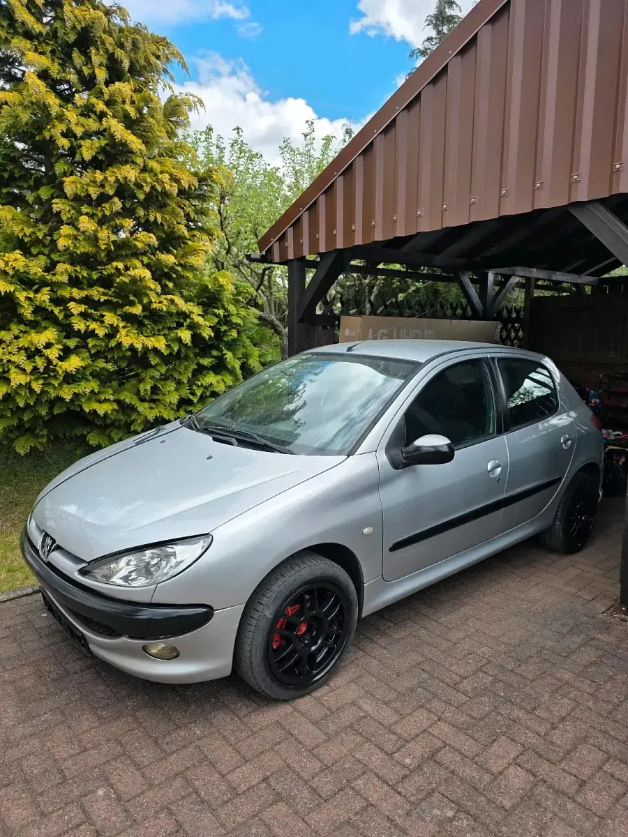 Używany Peugeot 206 75 KM (55 kW) 2004 Szary Hatchback