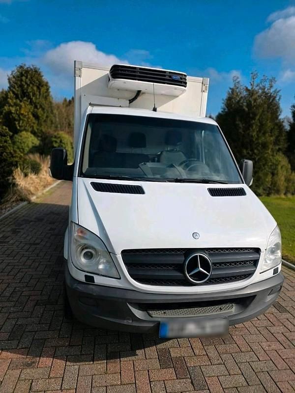 Second-hand Mercedes Sprinter 150 CP (110 kW) 2008 Alb
