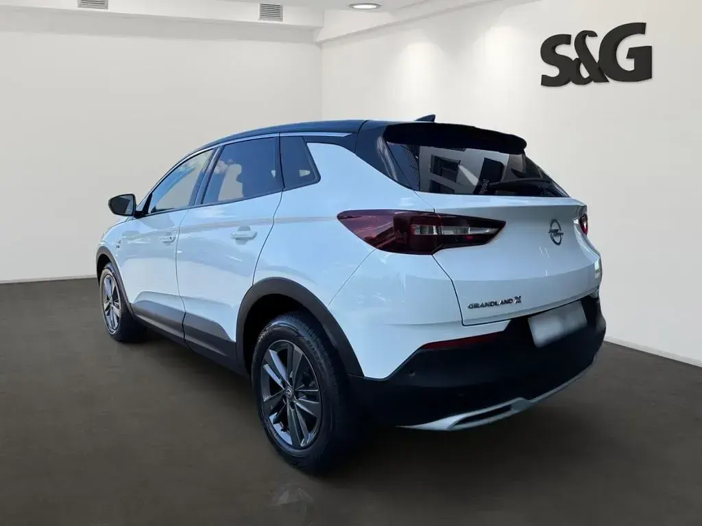 Gebraucht Opel Grandland X 131 PS (96 kW) 2020 Weiß SUV