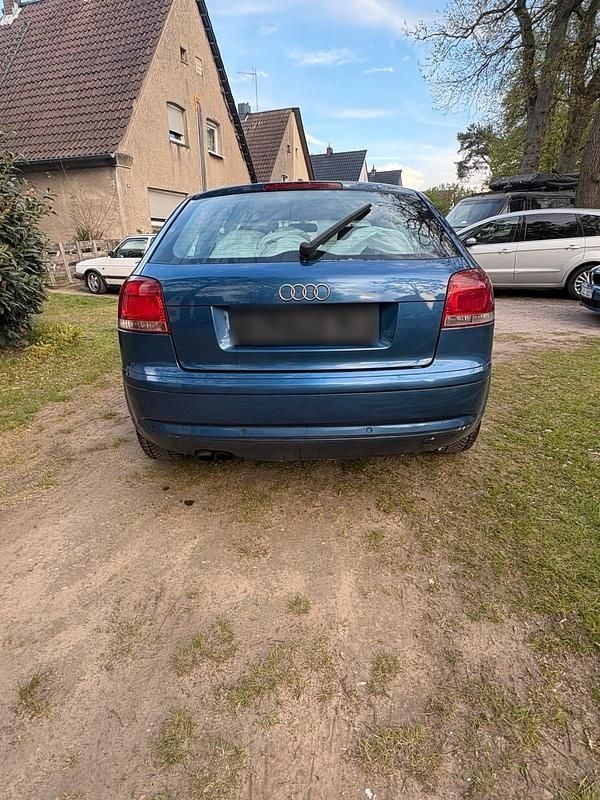 Usata Audi A3 105 CV (77 kW) 2004 Blu Utilitaria