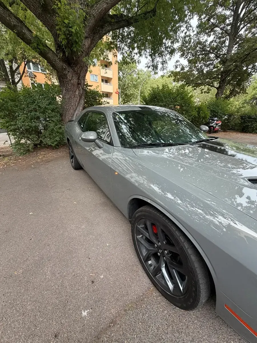 Gebraucht Dodge Challenger 309 PS (227 kW) 2019 Coupé