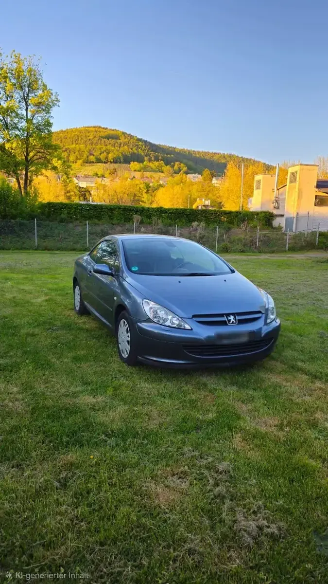 Gebraucht Peugeot 307 CC 140 PS (102 kW) 2005 Grau Cabrio