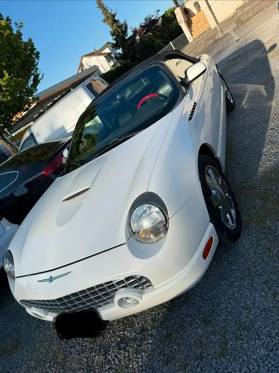 Occasion Ford Thunderbird 2003 Blanc Cabriolet