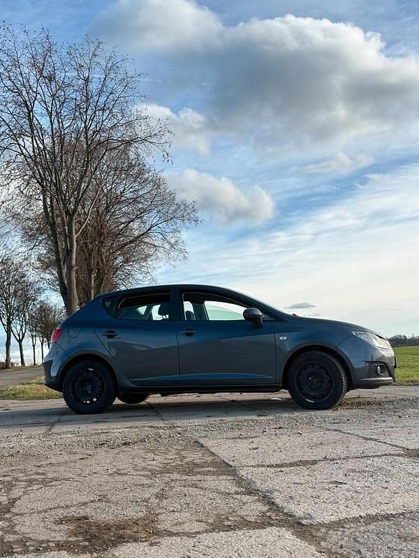 Gebraucht Seat Ibiza 105 PS (77 kW) 2009 Grau Kleinwagen