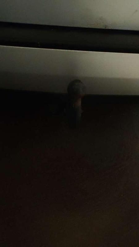 Gebraucht VW Golf IV Ocean 116 PS (85 kW) 2004 Grau Kombi