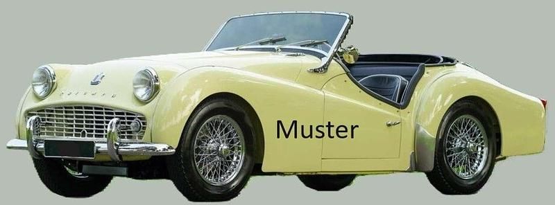 Gebraucht Triumph TR3 101 PS (74 kW) 1958 Prime rose yellow Cabrio