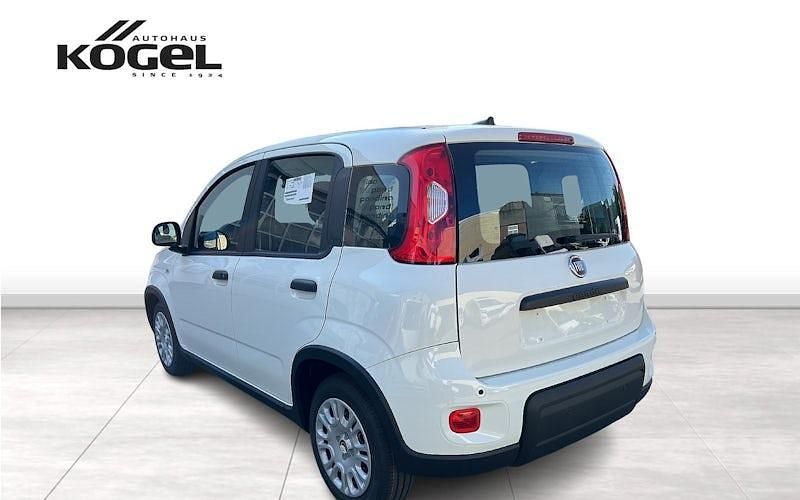 Gebraucht Fiat Panda 70 PS (51 kW) 2024 Weiß (gelato weiss) Kleinwagen