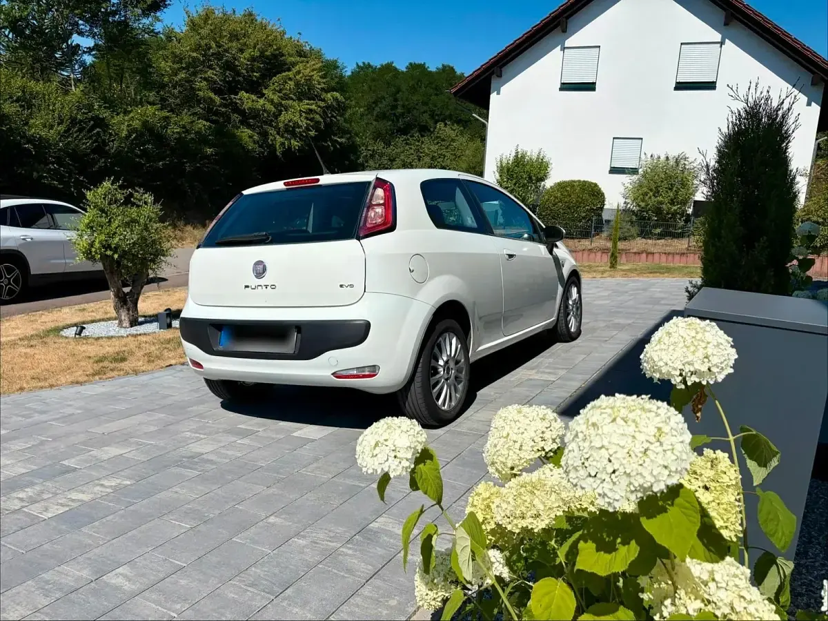 Gebraucht Fiat Punto Evo 105 PS (77 kW) 2010 Weiß Kleinwagen