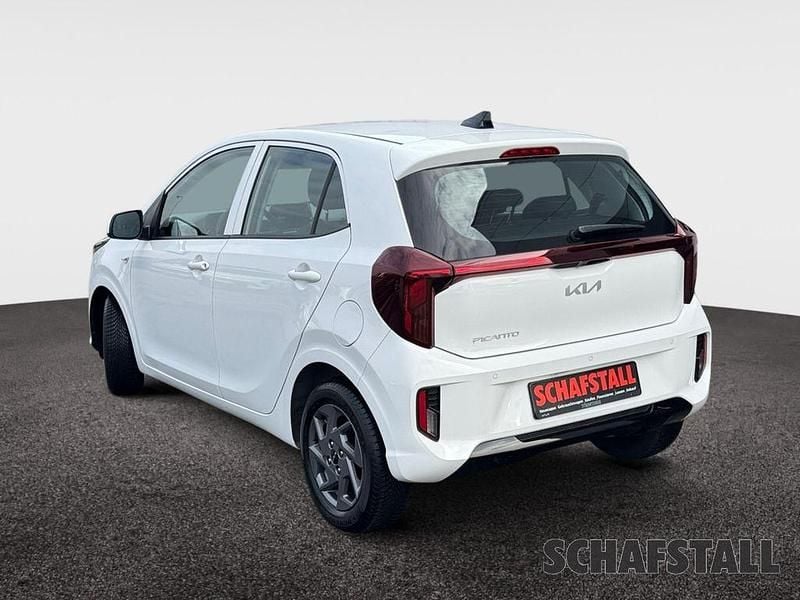 Gebraucht Kia Picanto Vision 63 PS (46 kW) 2025 Weiß Kleinwagen