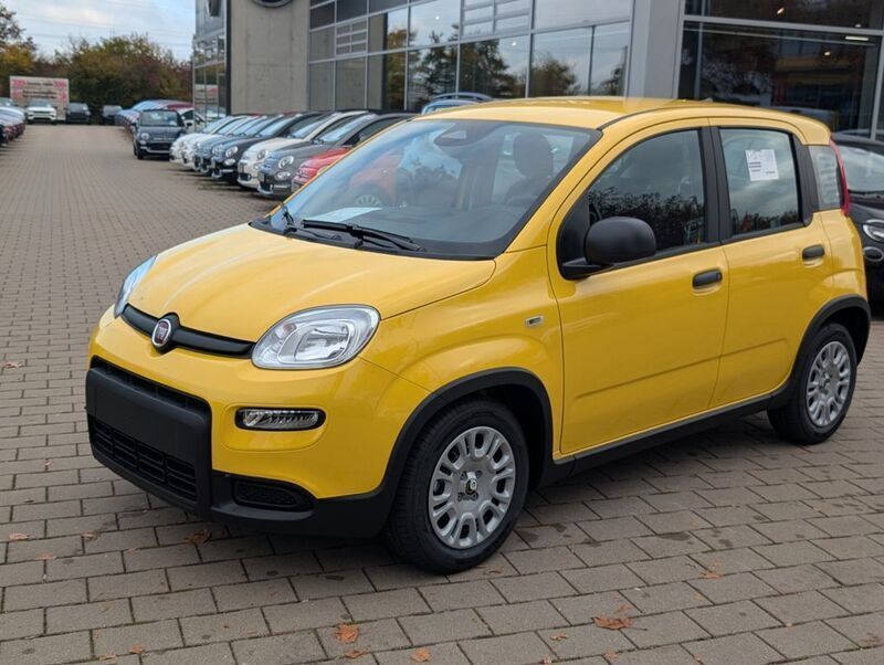 Neu Fiat Panda 69 PS (50 kW) 2025 Gelb Kleinwagen