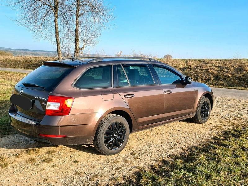 Gebraucht Skoda Octavia Drive 150 PS (110 kW) 2017 Braun Kombi