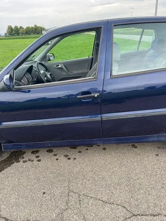 Gebraucht VW Polo Basis 75 PS (55 kW) 2001 Blau Kleinwagen