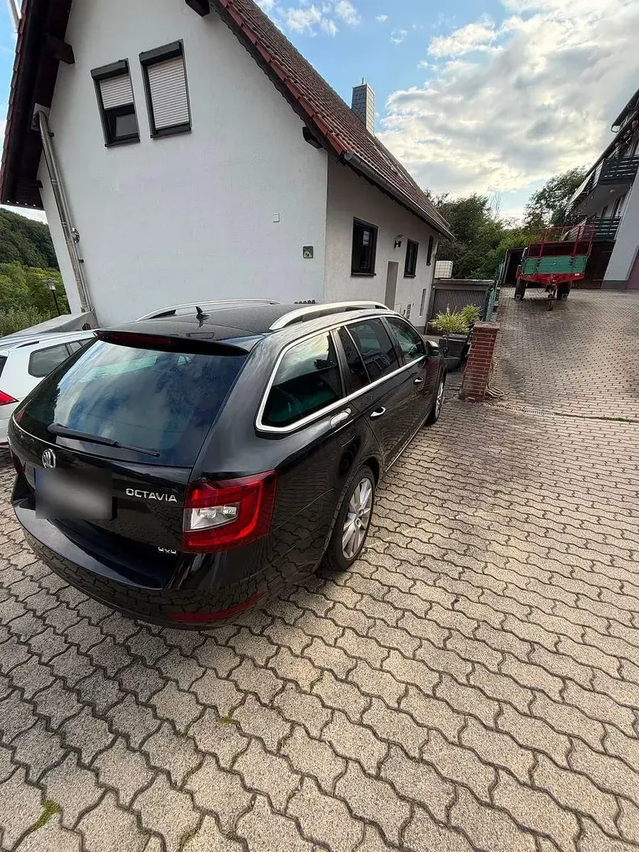 Gebraucht Skoda Octavia Style 150 PS (110 kW) 2019 Schwarz Kombi