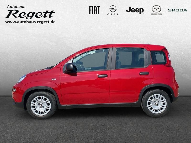 Gebraucht Fiat Panda 69 PS (50 kW) 2024 Weiss) (weiss Kleinwagen