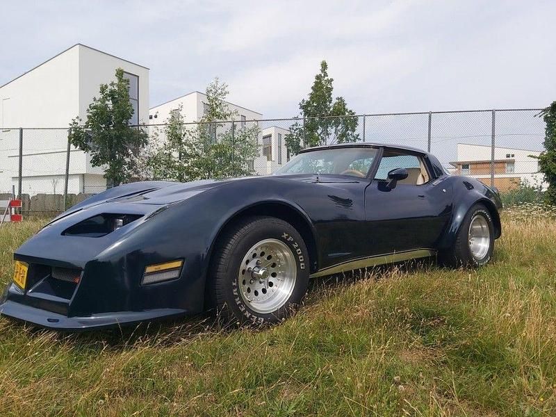 Grün Gebraucht 1979 Chevrolet Corvette | 18.950 € - Bild 1/4