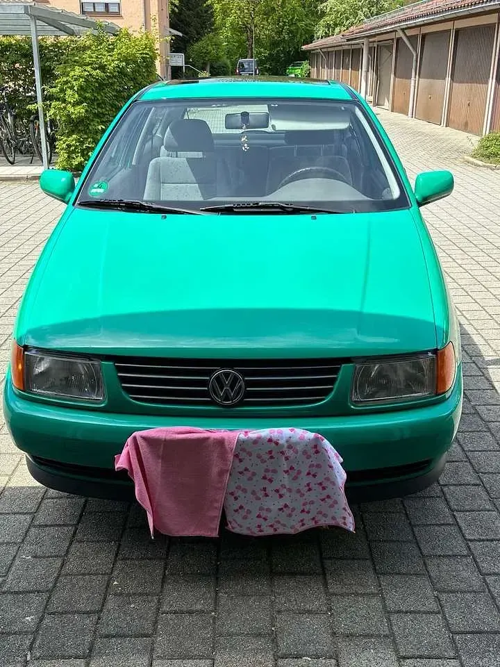 Usata VW Polo 75 CV (55 kW) 1997 Verde Berlina