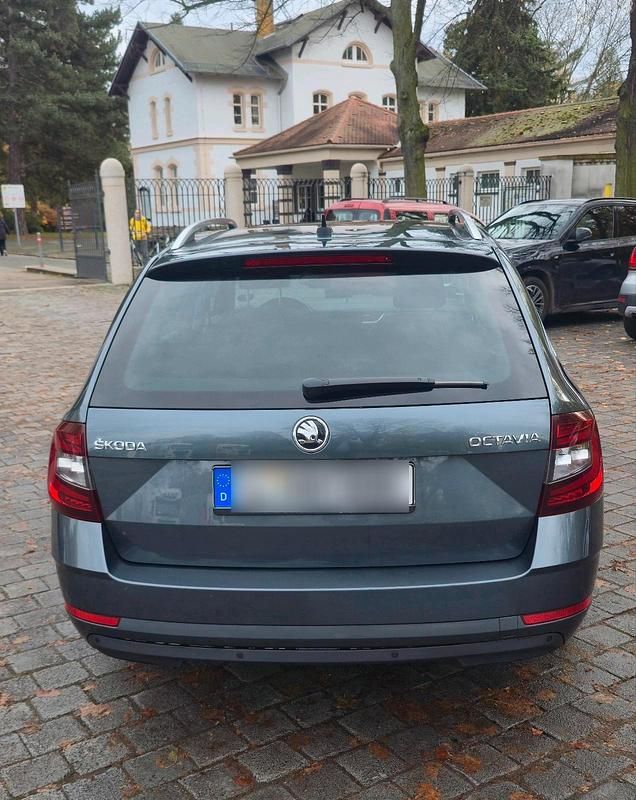 Gebraucht Skoda Octavia 150 PS (110 kW) 2020 Grau Kombi