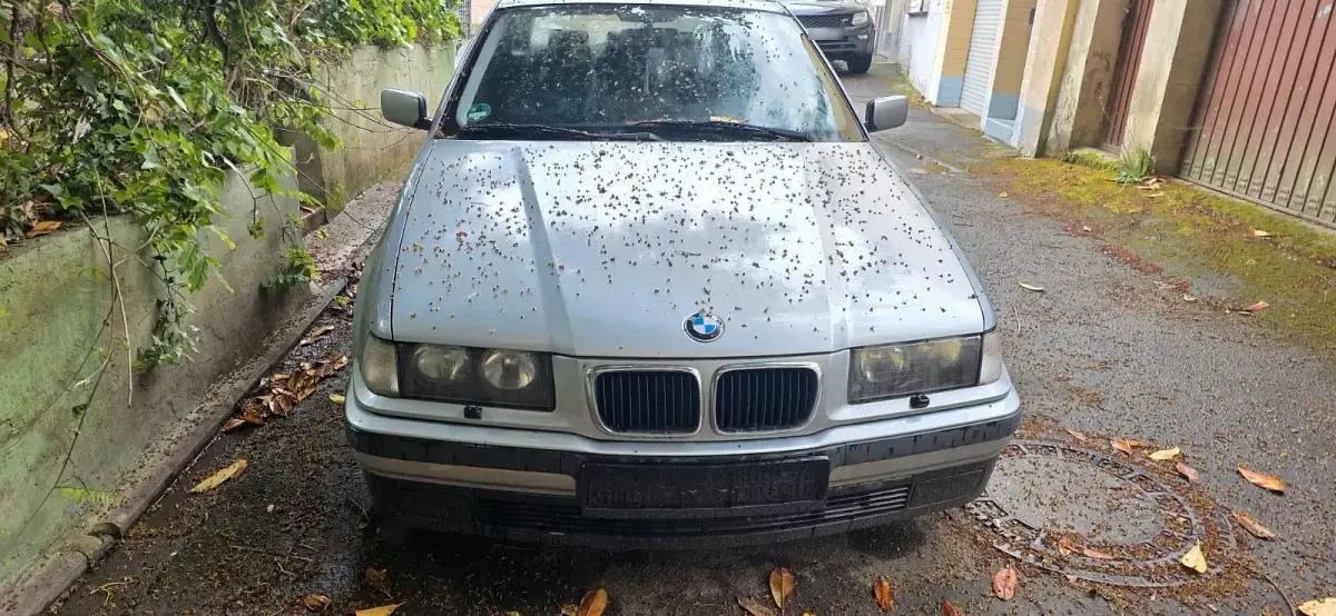 Używany BMW 320 150 KM (110 kW) 1997 Srebrny Kombi