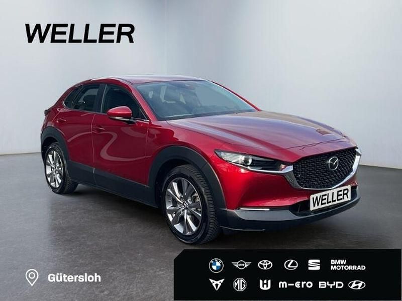 Gebraucht Mazda CX-30 Selection 150 PS (110 kW) 2021 Rot SUV