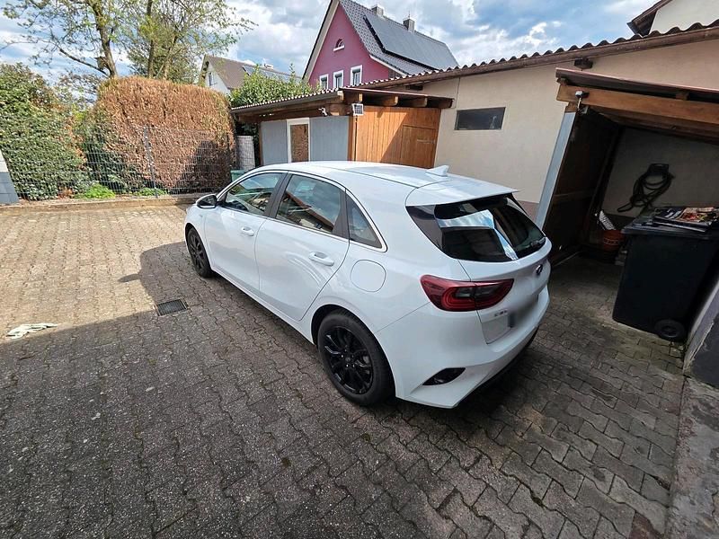 Gebraucht Kia Ceed Vision 140 PS (102 kW) 2020 Weiß Kleinwagen