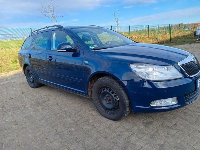 Skoda Octavia Combi Gebraucht Von Privat