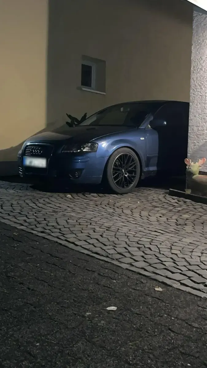 Gebraucht Audi A3 Basis 115 PS (84 kW) 2006 Kleinwagen