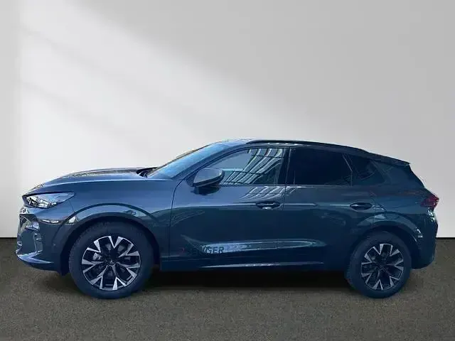 Usata Cupra Terramar 150 CV (110 kW) 2026 Grigio SUV