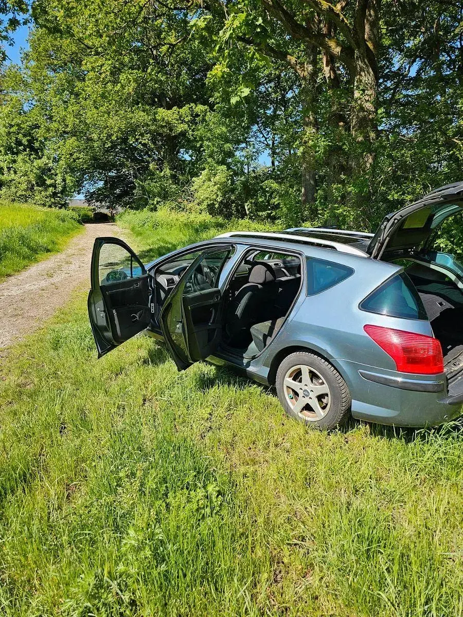 Gebraucht Peugeot 407 136 PS (100 kW) 2004 Grau Limousine