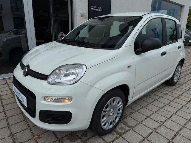 Neu Fiat Panda 69 PS (50 kW) 2025 Weiß Kleinwagen