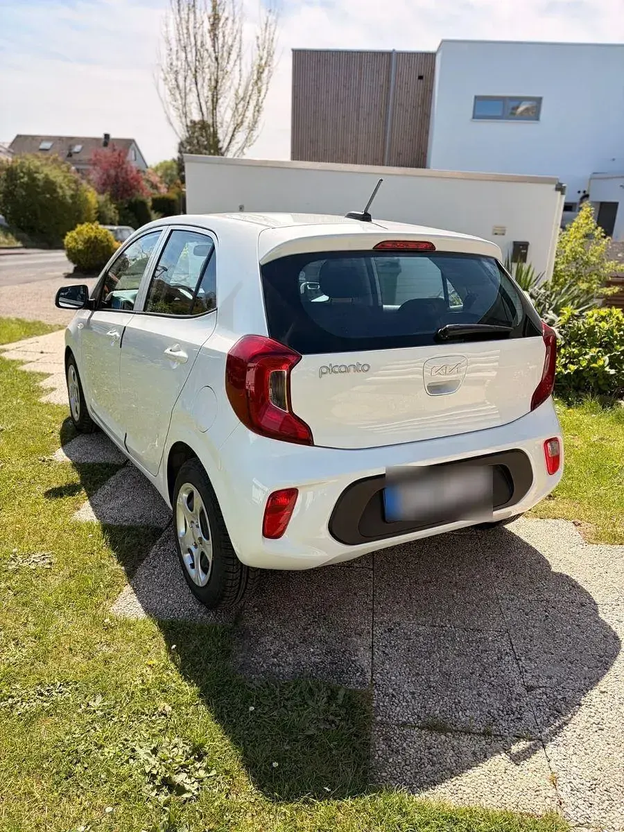 Gebraucht Kia Picanto Edition 7 69 PS (50 kW) 2023 Weiß Kleinwagen