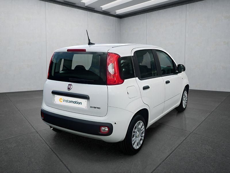 Neu Fiat Panda 65 PS (47 kW) 2026 Weiß Kleinwagen