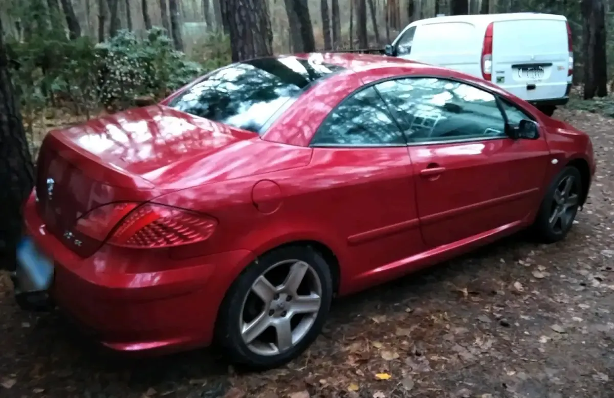 Gebraucht Peugeot 307 CC Sport 180 PS (132 kW) 2004 Cabrio