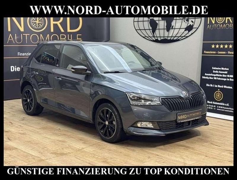 Gebraucht Skoda Fabia Monte Carlo 95 PS (69 kW) 2020 Quarzgrau metallic (metallic) Kleinwagen