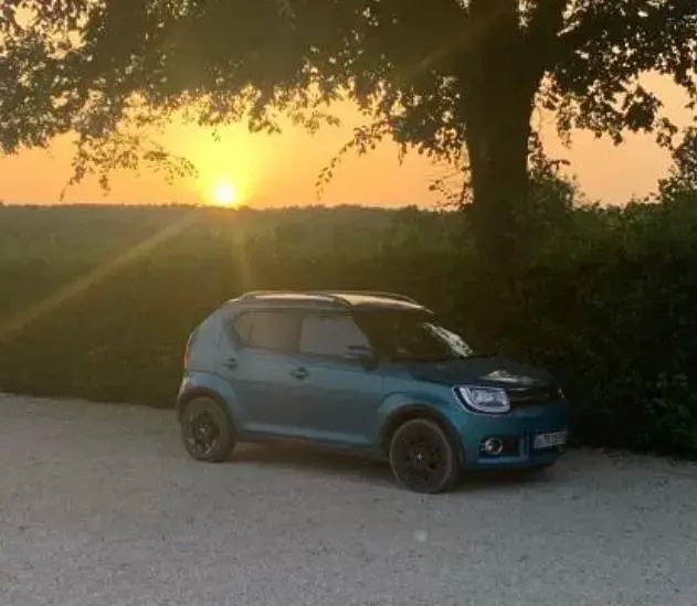 Gebraucht Suzuki Ignis 92 PS (67 kW) 2017 Blau SUV