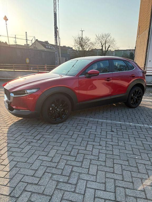 Gebraucht Mazda CX-30 Exclusive-Line 122 PS (89 kW) 2022 Rot SUV