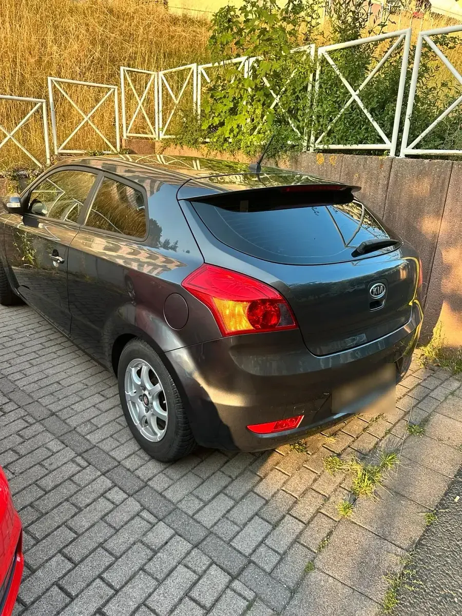 Gebraucht Kia ProCeed 125 PS (91 kW) 2010 Grau Kleinwagen
