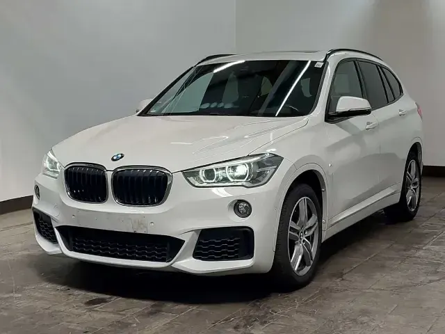Gebraucht BMW X1 M Sport 192 PS (141 kW) 2019 SUV